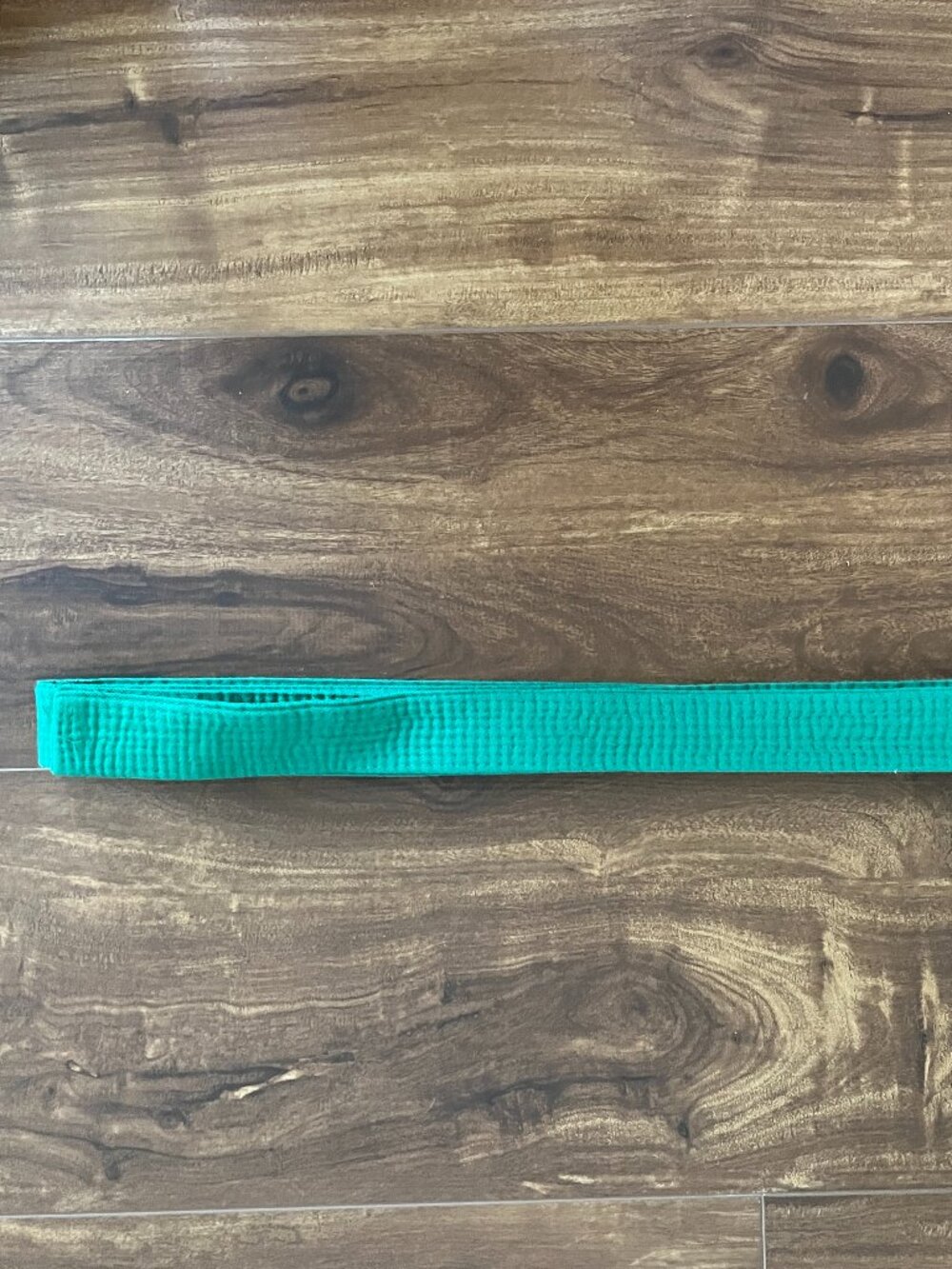 Vintage martial art karate taekwondo judo Jiu Jitsu training green belt